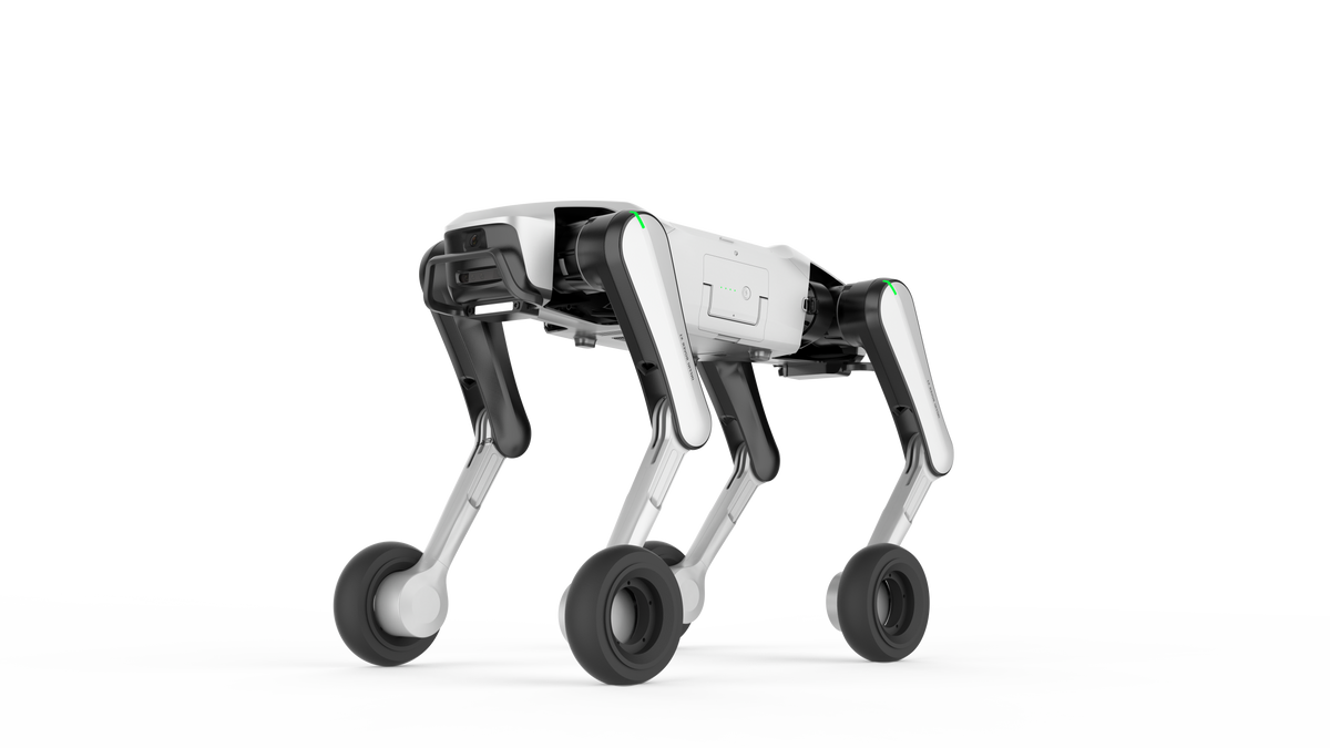 Quadrupeds
