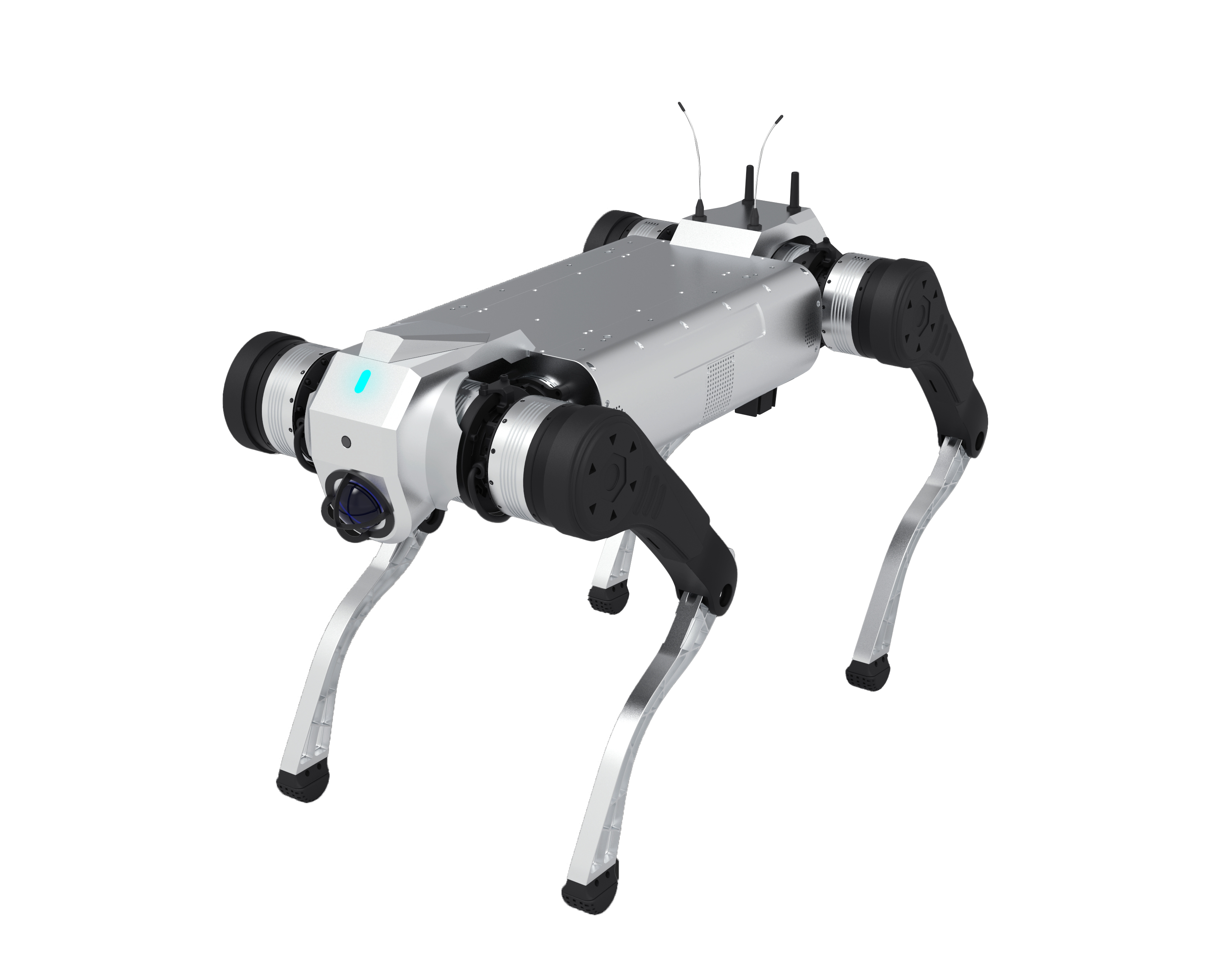 D1
