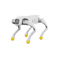 D1