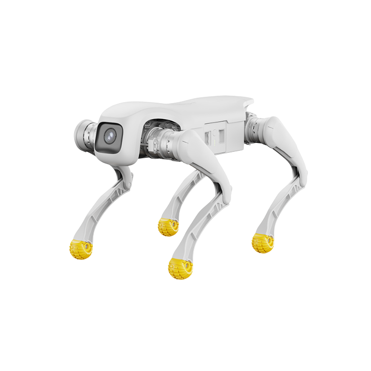 D1