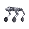 B2-W
