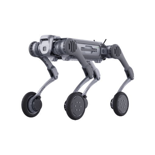 B2-W