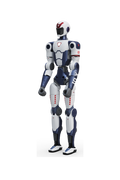 R1