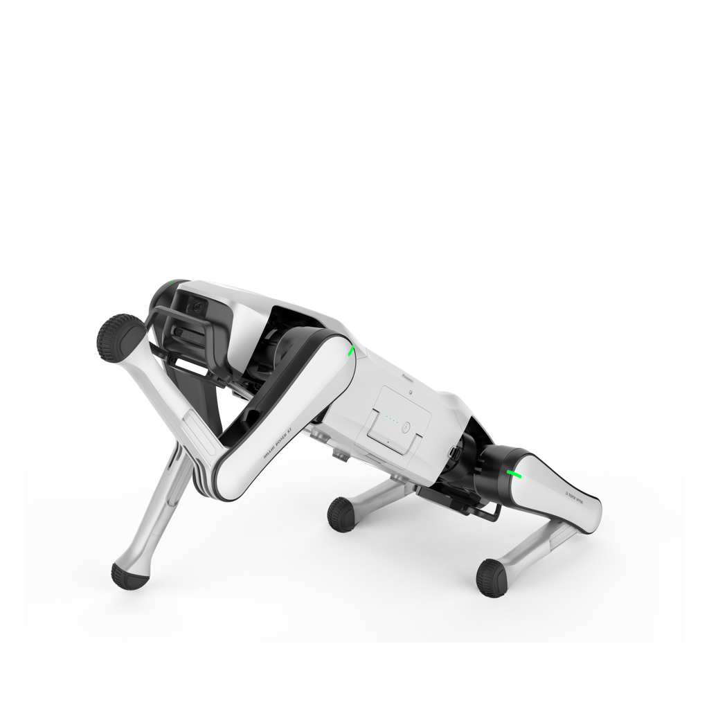 Rover X1 Explorer Industrial | Programmable Quadruped